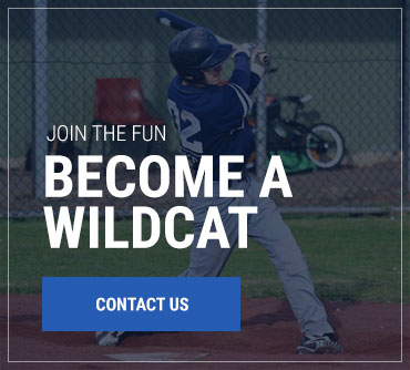 Become a Wildcat